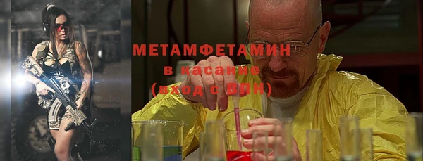 прущие грибы Касимов