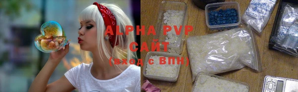 прущие грибы Касимов