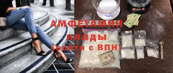 прущие грибы Касимов