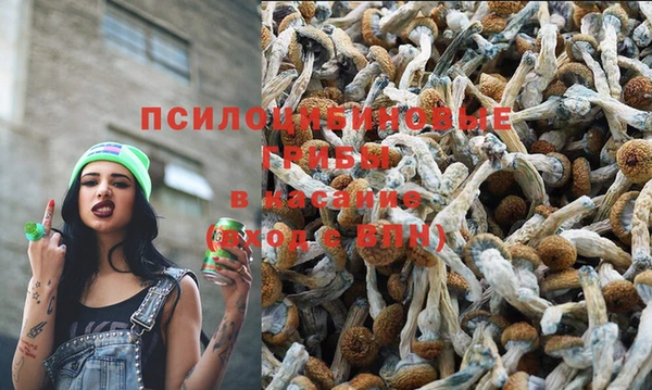 a pvp Кинешма