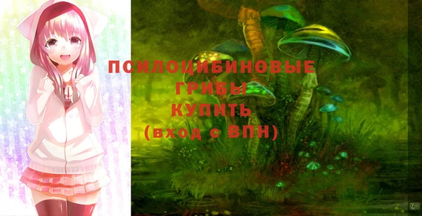 стафф Киренск