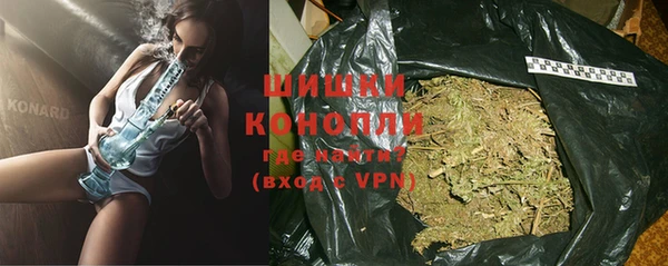 прущие грибы Касимов