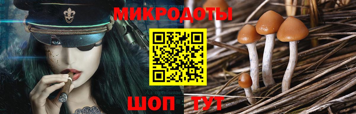Октябрьский  где можно купить   Вход с VPN  Псилоцибиновые грибы MAGIC MUSHROOMS 